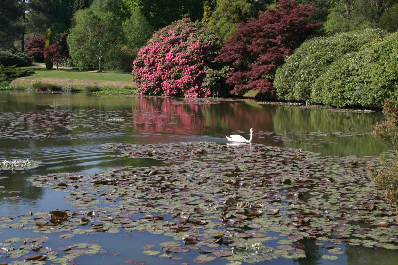 Sheffield Park and Garden